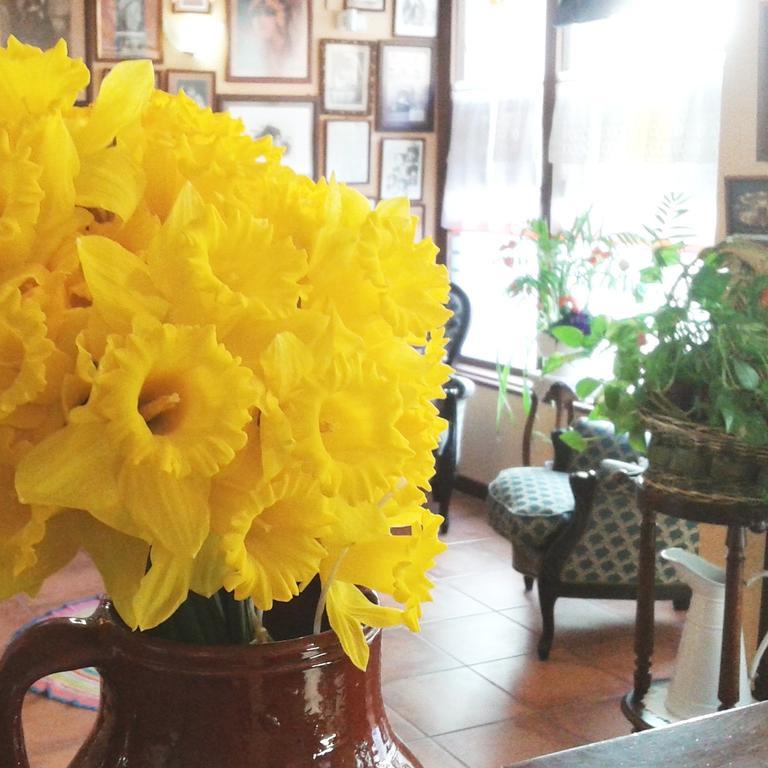 Tarazona Hostal Santa Agueda מראה חיצוני תמונה
